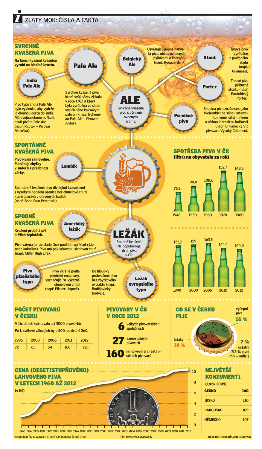 webN2_8_4_TEMA-PIVA3