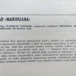 mari1