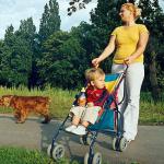 ve stromovce s maminou