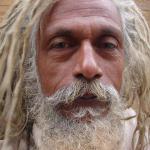 india, z himalaju k Chandigarhu